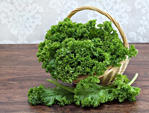 How to Grow Kale on Your Patio or Balcony 2