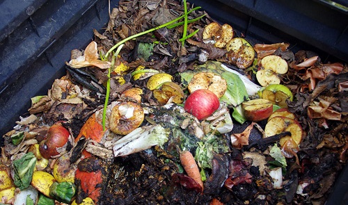 Importance of Composting