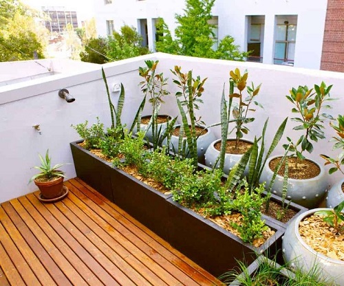 Useful Terrace Gardening Tips 2