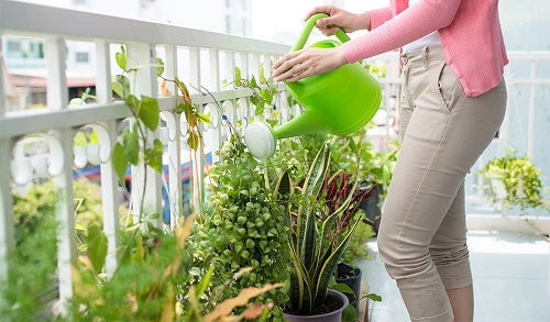 How to Protect Your Balcony Garden in Summer 2