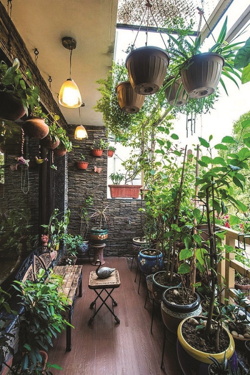 How to Protect Your Balcony Garden in Summer