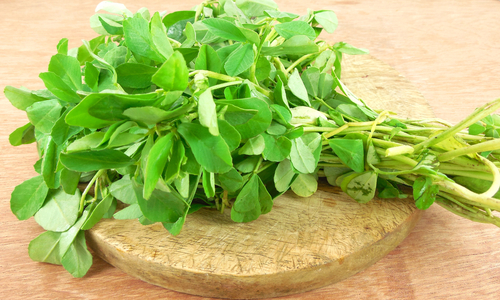 Green Leafy Vegetables Names in India 2