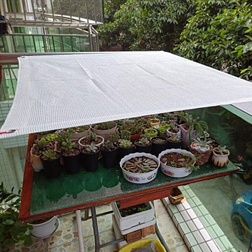 Garden Maintenance Tips for Monsoon 3