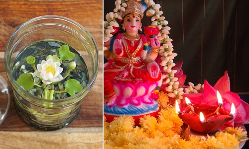Best Plants for Diwali 2