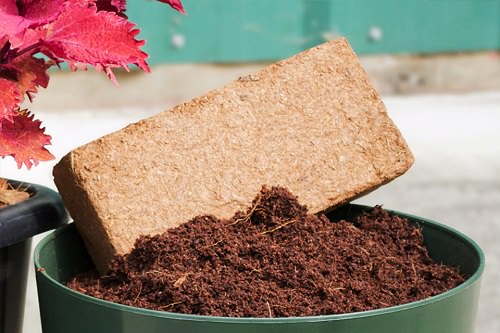 How to Make Coco Peat at Home