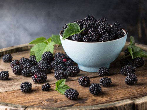 Blackberry Fruit in India 8