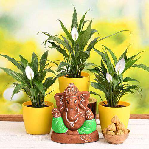 Ganpati Background Decoration with Plants 10
