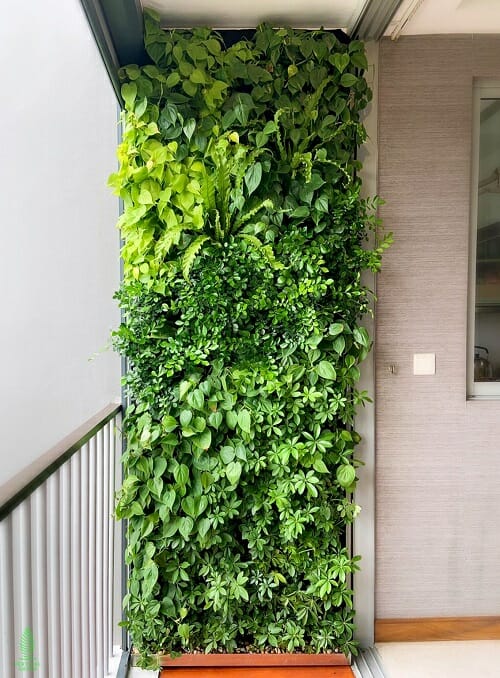 Balcony-Vertical-Garden
