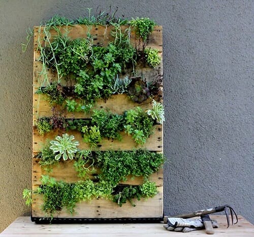 DIY-Succulent-Vertical-Garden