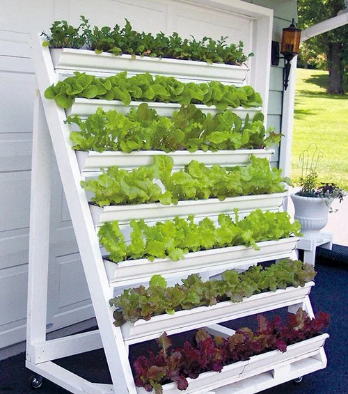Vertical-Lettuce-Planter