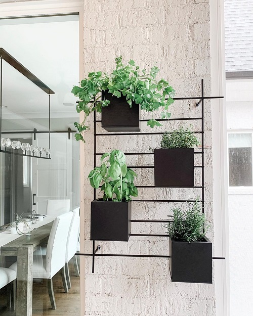 Indoor Vertical Garden Ideas