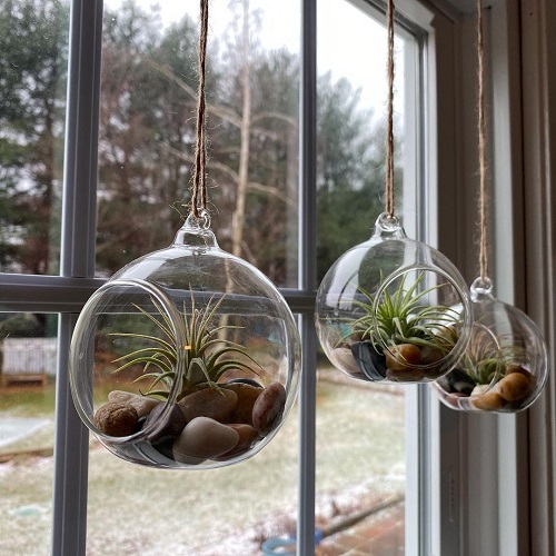 Indoor Vertical Garden Ideas 11