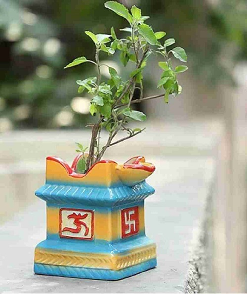 How to Decorate Tulsi Plant