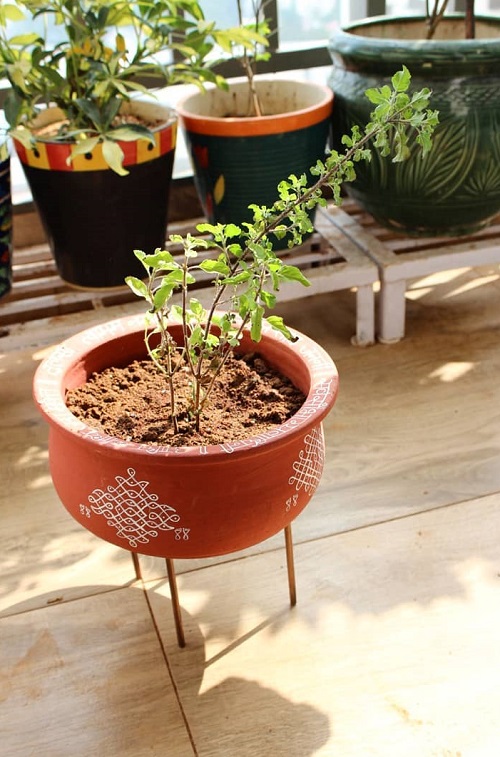 How to Decorate Tulsi Plant 3
