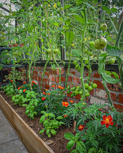20 Small Garden Ideas Kerala 7
