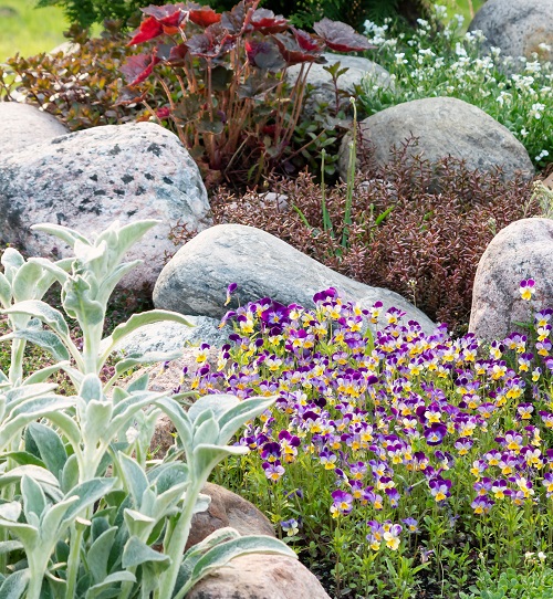 20 Small Corner Rock Garden Ideas 5