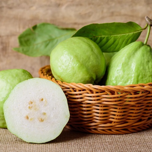 Guava Varieties 5