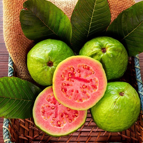Guava Varieties 3