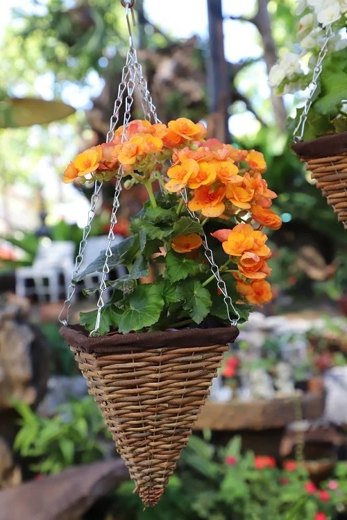 Flower Basket Ideas You Must Copy