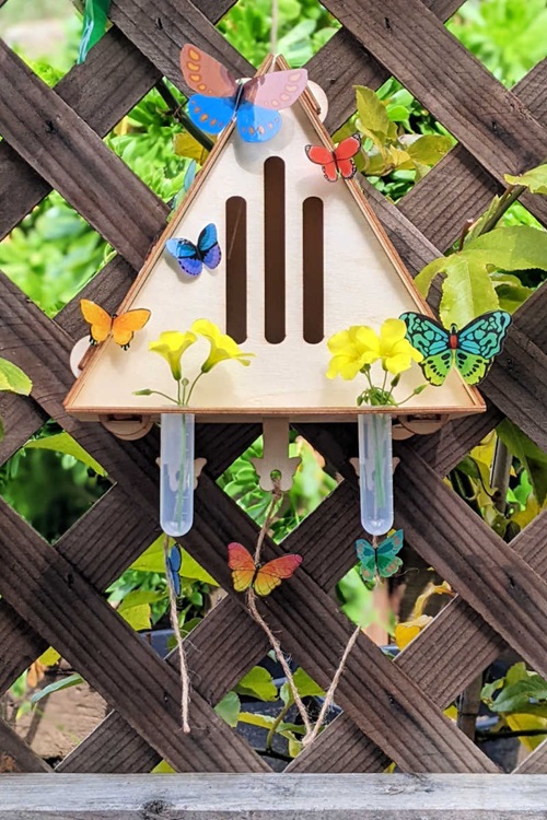 Butterfly House Craft or Butterflies in the Garden