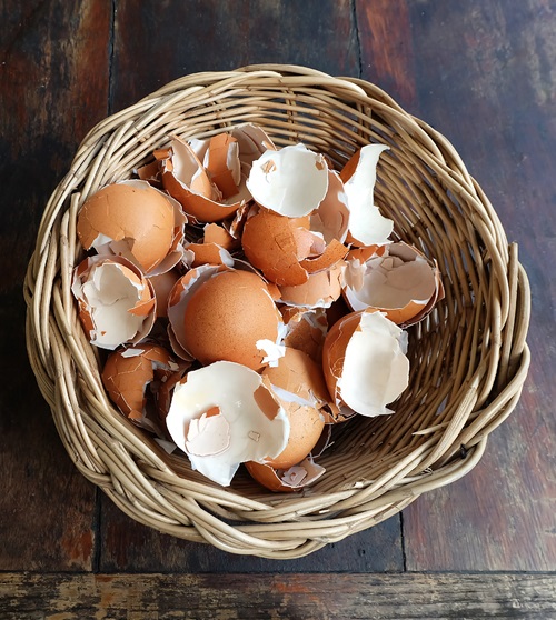Eggshells Tricks for Getting More Chilli Flowers